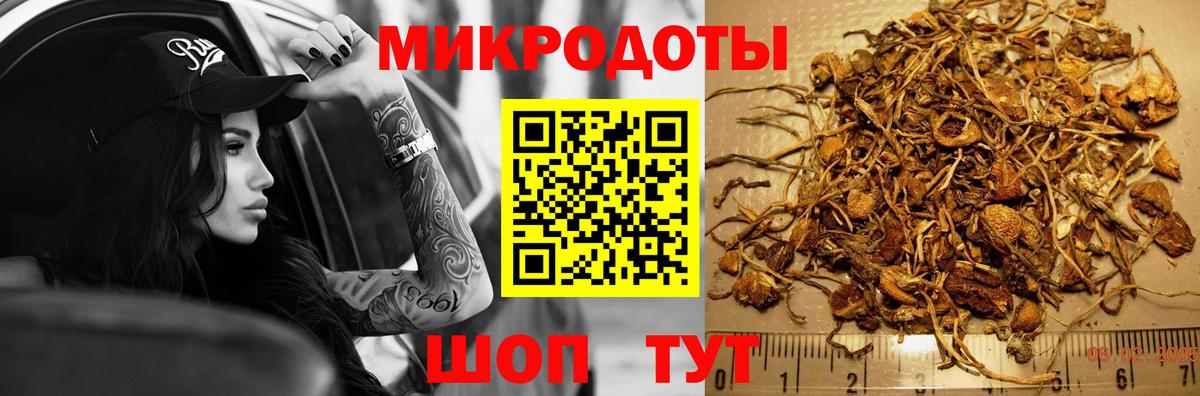 Псилоцибиновые грибы прущие грибы Солнечногорск
