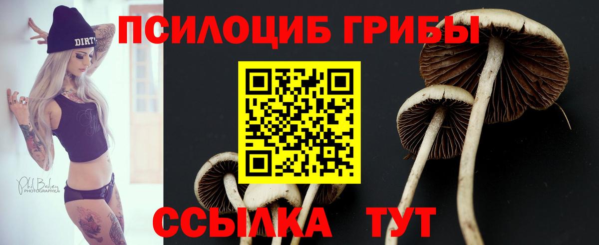 Псилоцибиновые грибы мухоморы  Вход с VPN  Галлюциногенные грибы прущие грибы  Солнечногорск 