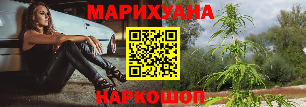Бошки марихуана сатива Солнечногорск
